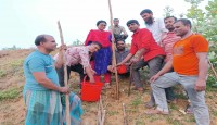 ডাসকো ফাউন্ডেশন বাস্তবায়িত পরিবেশ প্রকল্পের উদ্যোগে সজনে গাছ রোপন